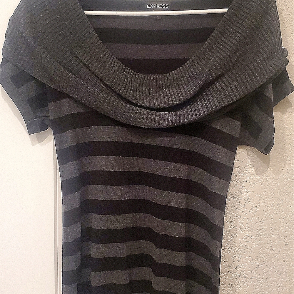 Express Petite Small Stiped Shirt